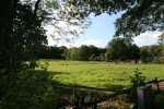  (Soest Duinen)   Soest